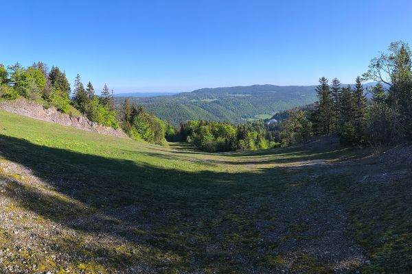 pano_20260522_080416D48B09FE-9572-CD96-33FC-D8F1DA91C03D.jpg